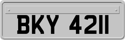 BKY4211