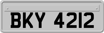 BKY4212