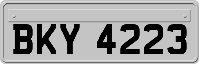 BKY4223
