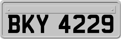 BKY4229