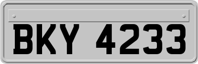 BKY4233