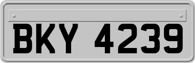 BKY4239
