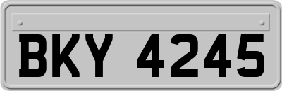BKY4245