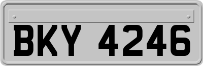 BKY4246