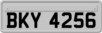 BKY4256