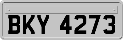 BKY4273