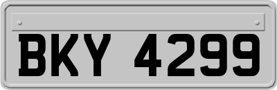 BKY4299