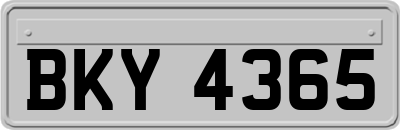 BKY4365