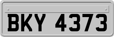 BKY4373