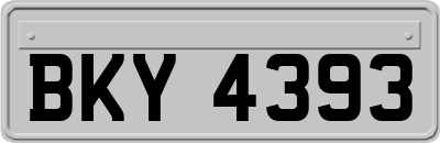 BKY4393