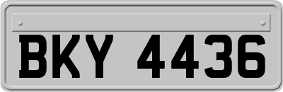 BKY4436