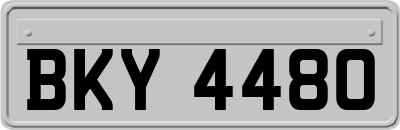 BKY4480