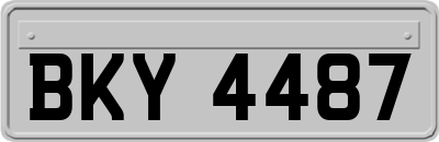 BKY4487