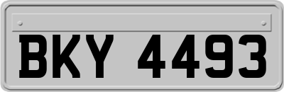 BKY4493