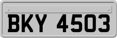 BKY4503