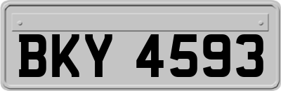 BKY4593