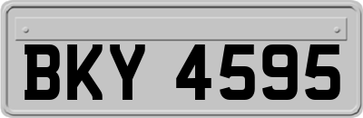 BKY4595