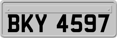 BKY4597