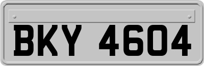 BKY4604