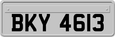 BKY4613