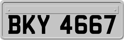 BKY4667