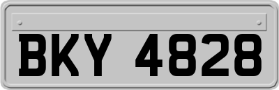 BKY4828
