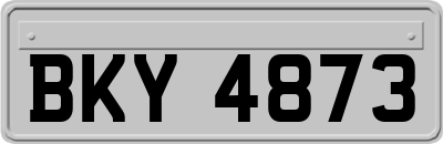 BKY4873