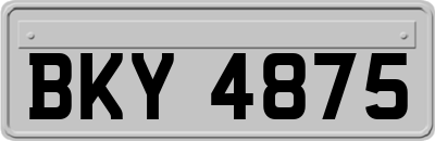BKY4875