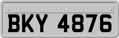 BKY4876