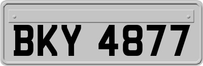 BKY4877