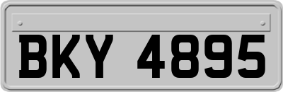 BKY4895
