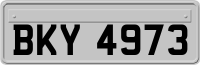 BKY4973