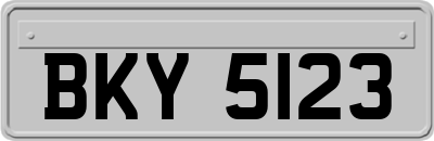 BKY5123