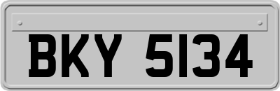 BKY5134