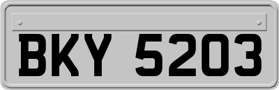 BKY5203