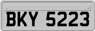 BKY5223