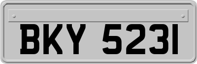 BKY5231