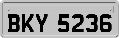 BKY5236