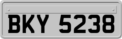 BKY5238