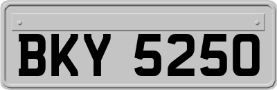 BKY5250