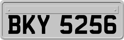 BKY5256