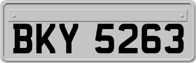 BKY5263