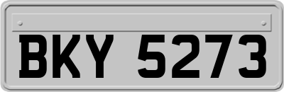 BKY5273