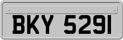 BKY5291