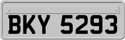 BKY5293