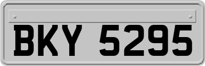 BKY5295