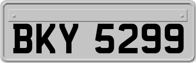 BKY5299