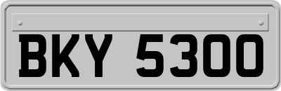 BKY5300