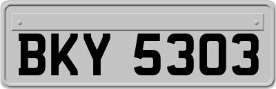 BKY5303