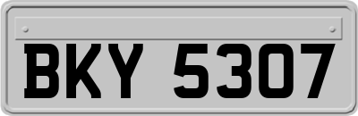 BKY5307